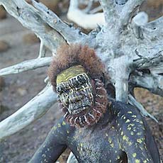 Darwin, Excursion à Tiwi Island (Bathrust) - Journée